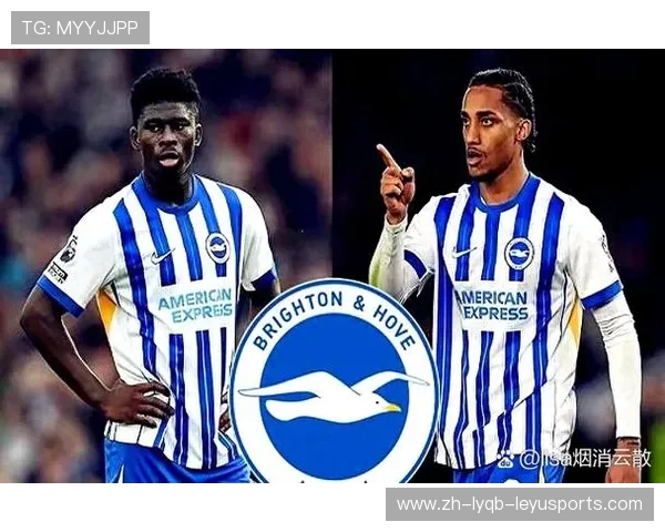 英超球队布莱顿与JD合作详解